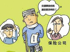 交通事故司法鉴定费用标准2020 交通事故司法鉴定时注意甚么?