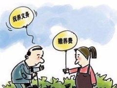 2020处理供养纠纷的基本原则是甚么?供养纠纷调处技能有哪些?