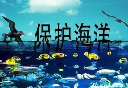 中华人民共和国海洋环境保护法2020全文【最新修正版】