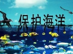 中华人民共以及国海洋环境维护法2020全文【最新修正版】