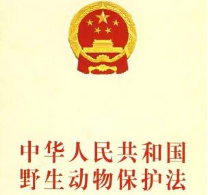 2021年中华人民共和国野生动物保护法最新【全文】