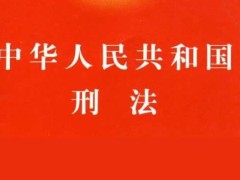 中华人民共以及国刑法修正案(四)