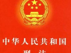 中华人民共以及国刑法修正案(七)