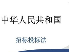 中华人民共以及国招标投标法释义：第十二条的内容、宗旨及释义