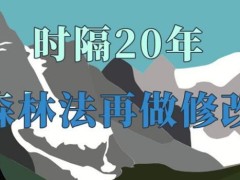 2021中华人民共以及国森林法修订【全文】