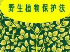 2022年中华人民共以及国野生植物维护条例最新全文