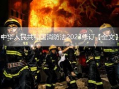 中华人民共以及国消防法2023修订【全文】