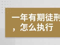 缓期一年执行啥意思