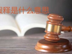 假释是甚么意思