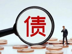 执行程序中，债务了债顺序是先息后本，仍是先本后息？